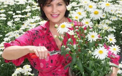 Linda Greenberg’s Blog